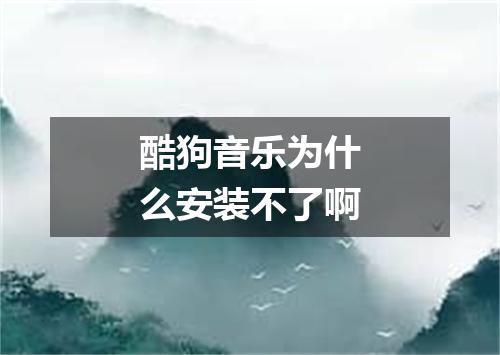 酷狗音乐为什么安装不了啊