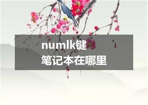 numlk键笔记本在哪里