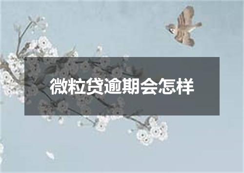微粒贷逾期会怎样