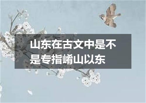 山东在古文中是不是专指崤山以东