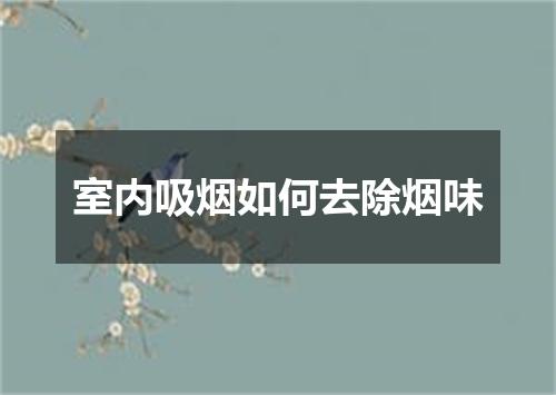 室内吸烟如何去除烟味