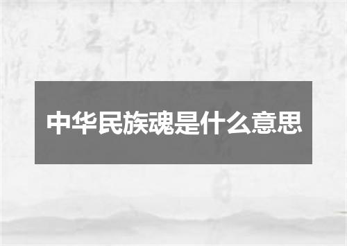 中华民族魂是什么意思