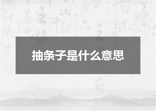 抽条子是什么意思