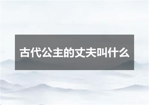 古代公主的丈夫叫什么