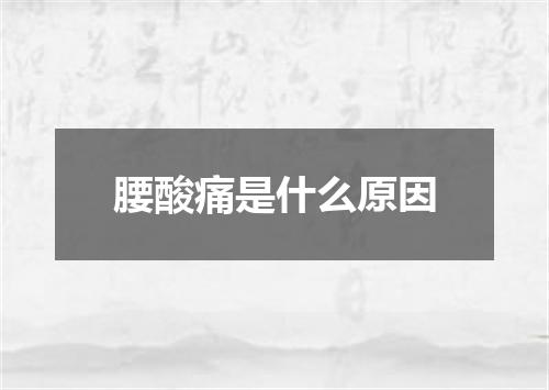 腰酸痛是什么原因