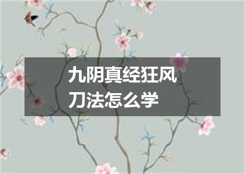 九阴真经狂风刀法怎么学