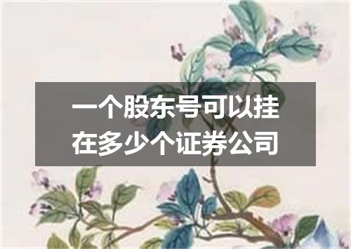 一个股东号可以挂在多少个证券公司