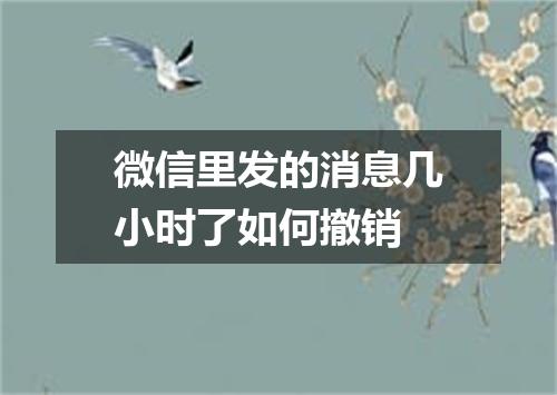 微信里发的消息几小时了如何撤销