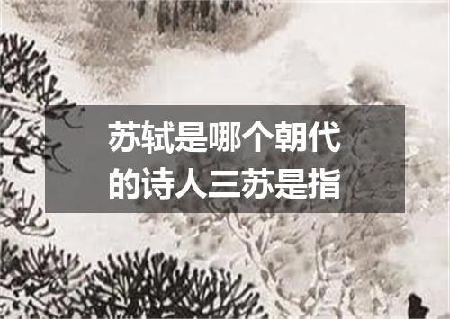 苏轼是哪个朝代的诗人三苏是指