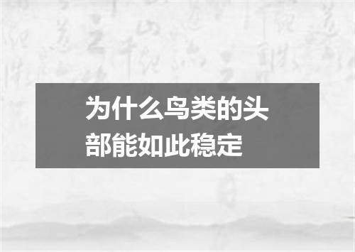 为什么鸟类的头部能如此稳定
