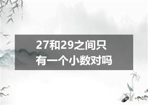27和29之间只有一个小数对吗