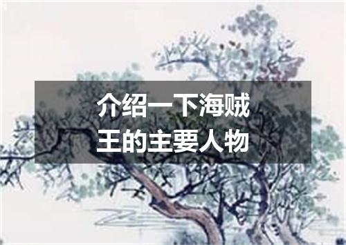 介绍一下海贼王的主要人物