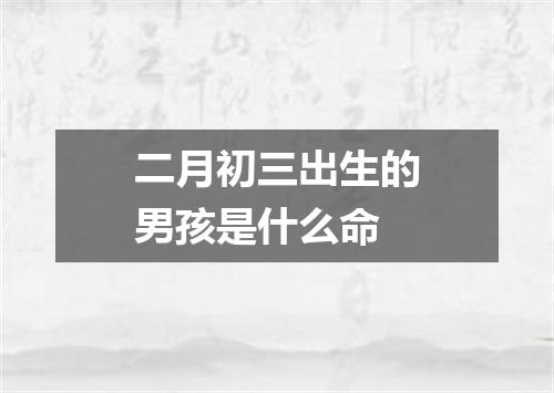 二月初三出生的男孩是什么命