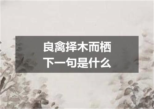 良禽择木而栖下一句是什么