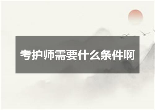 考护师需要什么条件啊