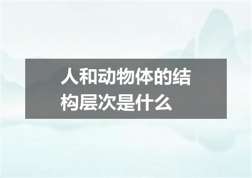 人和动物体的结构层次是什么