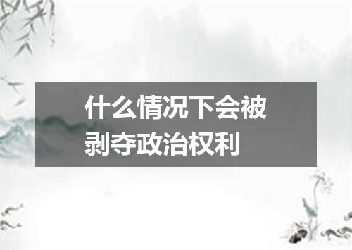 什么情况下会被剥夺政治权利