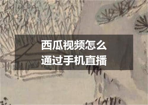西瓜视频怎么通过手机直播