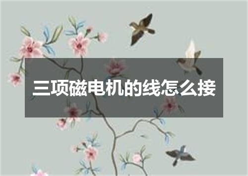 三项磁电机的线怎么接