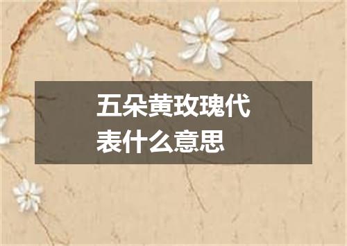 五朵黄玫瑰代表什么意思