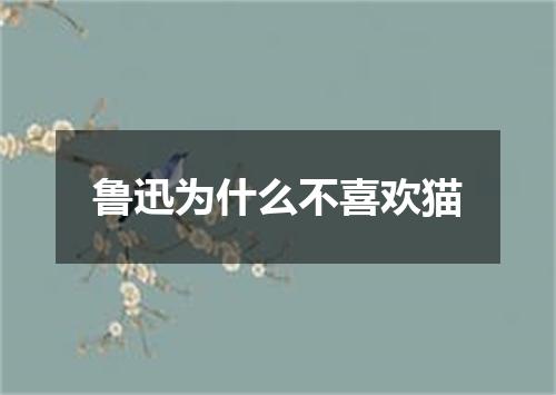 鲁迅为什么不喜欢猫