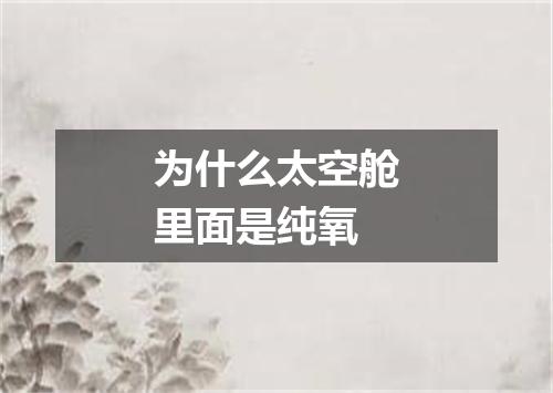 为什么太空舱里面是纯氧