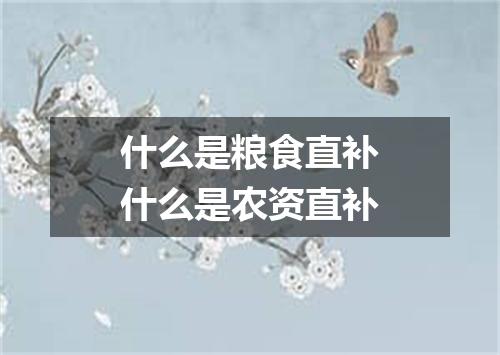 什么是粮食直补什么是农资直补