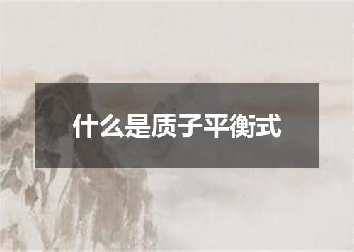 什么是质子平衡式