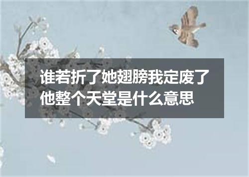 谁若折了她翅膀我定废了他整个天堂是什么意思