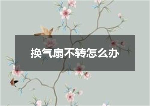 换气扇不转怎么办