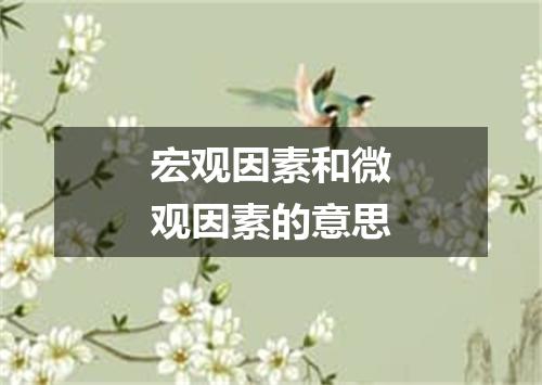 宏观因素和微观因素的意思