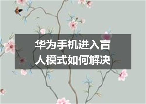 华为手机进入盲人模式如何解决