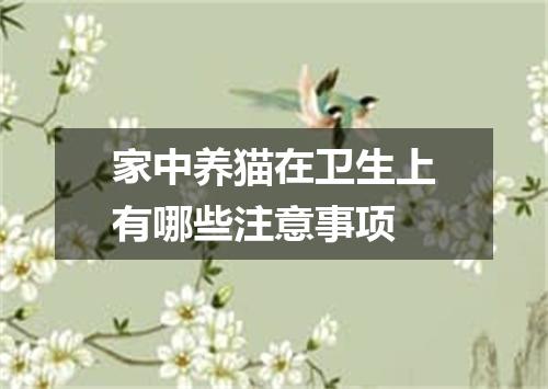 家中养猫在卫生上有哪些注意事项