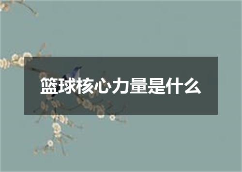 篮球核心力量是什么