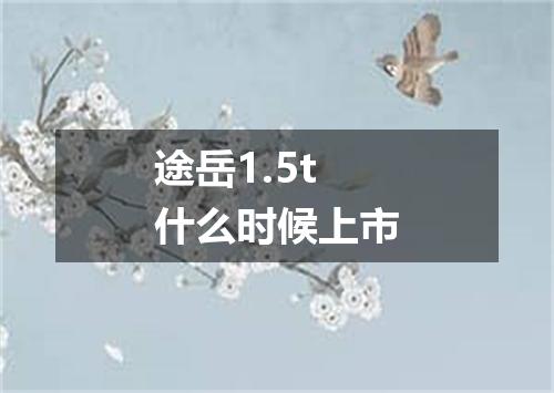 途岳1.5t什么时候上市