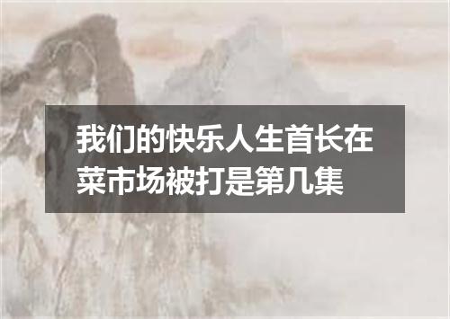 我们的快乐人生首长在菜市场被打是第几集