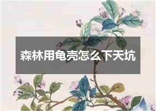 森林用龟壳怎么下天坑