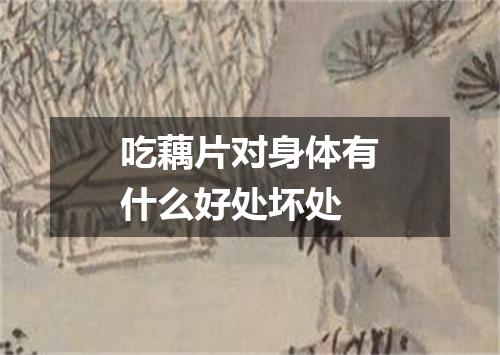 吃藕片对身体有什么好处坏处