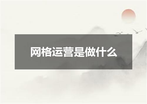 网格运营是做什么