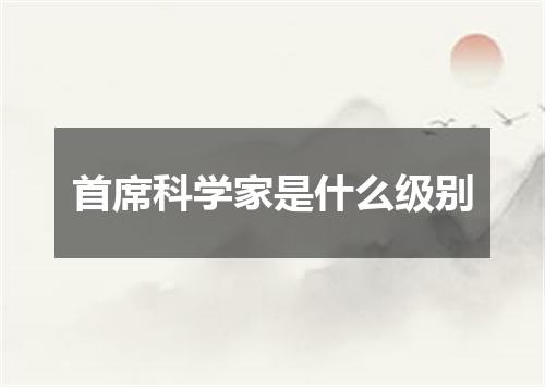 首席科学家是什么级别