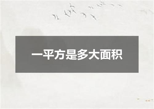 一平方是多大面积