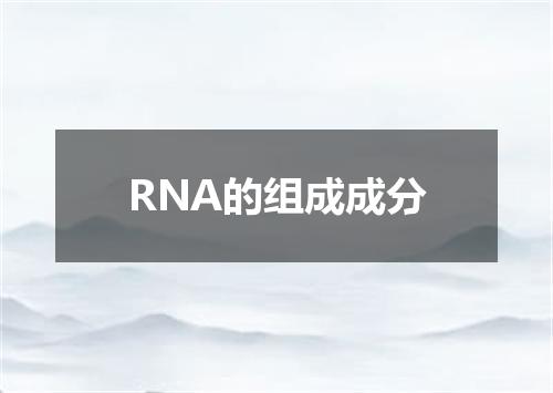 RNA的组成成分