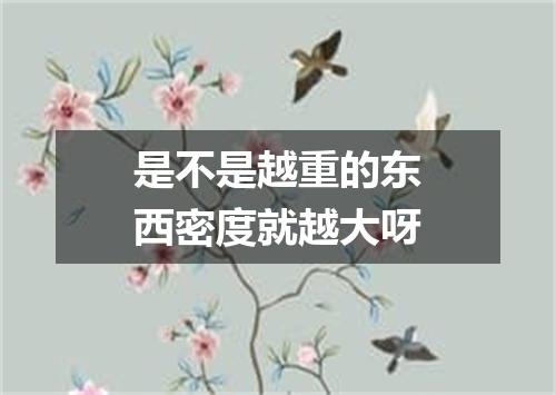 是不是越重的东西密度就越大呀