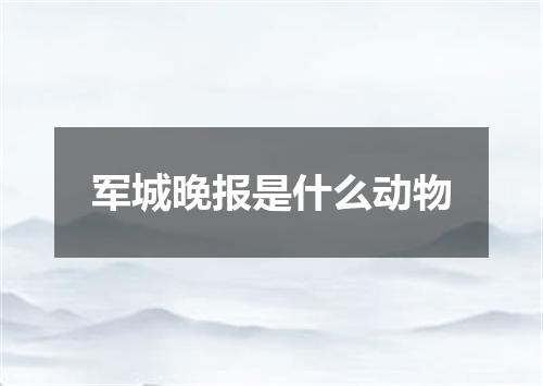 军城晚报是什么动物
