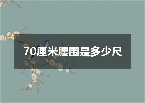 70厘米腰围是多少尺