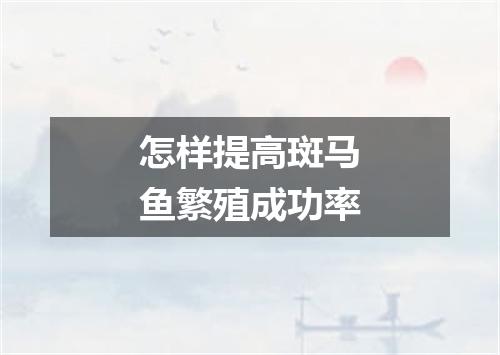 怎样提高斑马鱼繁殖成功率