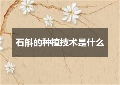 石斛的种植技术是什么