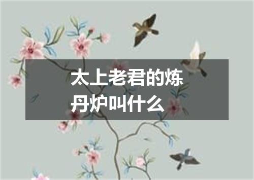 太上老君的炼丹炉叫什么