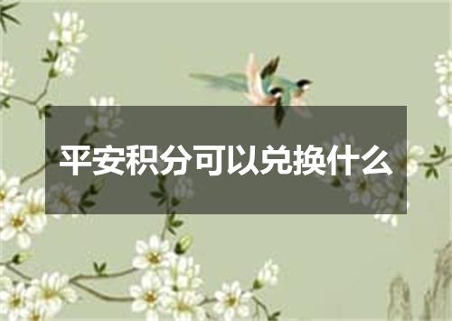 平安积分可以兑换什么