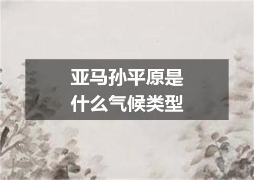 亚马孙平原是什么气候类型